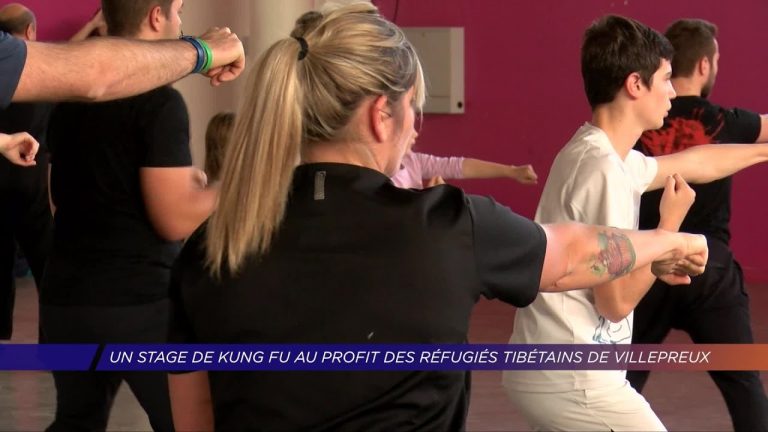 Yvelines | Un stage de Kung Fu au profit des réfugiés Tibétains de Villepreux