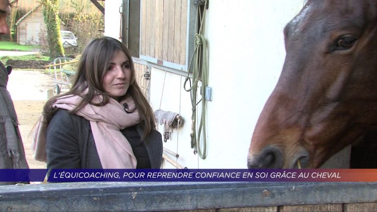 Yvelines | J’ai testé… l’équicoaching