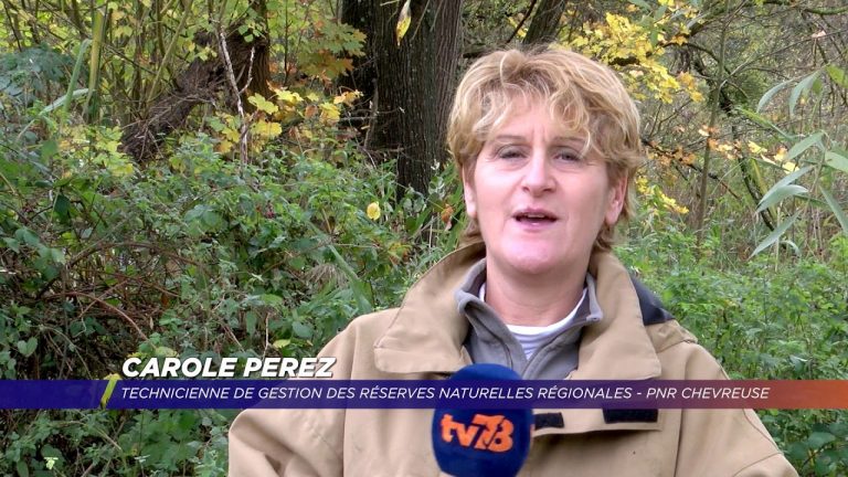 Yvelines | Des chantiers nature en Vallée de Chevreuse