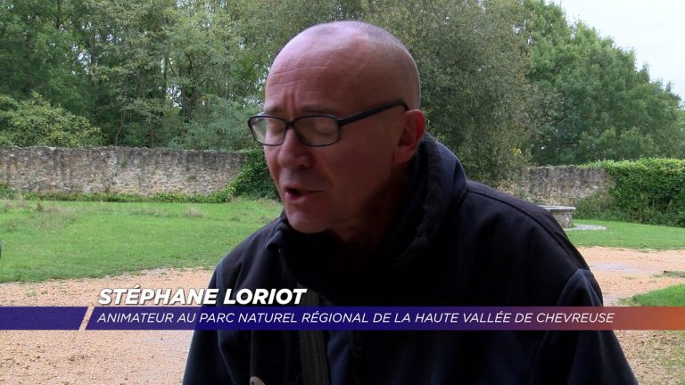 Yvelines | À la découverte des plantes comestibles de la Vallée de Chevreuse