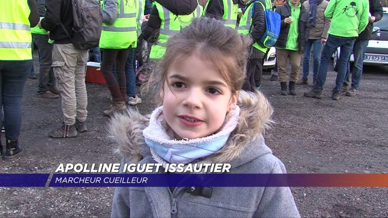 Yvelines | Opération ramassage de déchets au bord de la Nationale 10