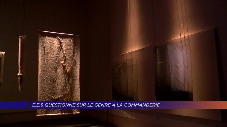 Yvelines | « É.E.S » interroge sur le genre à la Commanderie