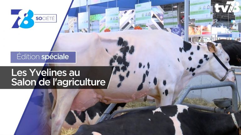 Les rendez-vous de tv78