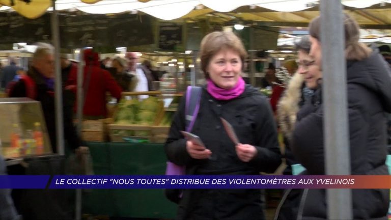 Yvelines | « Nous Toutes » distribue des violentomètres aux Yvelinois