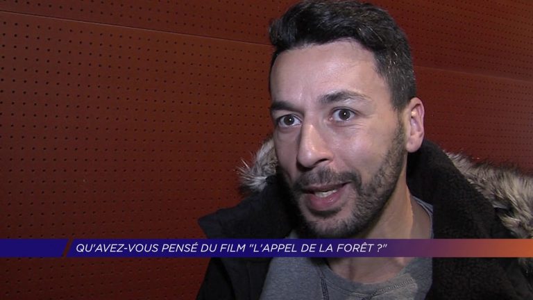 Qu&rsquo;avez vous pensé du film  » L&rsquo;appel à la forêt  » ?