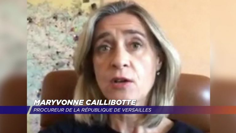 Yvelines | Deux condamnations pour violence contre des policiers suite à un contrôle d&rsquo;autorisation