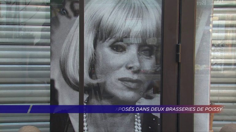 Yvelines | Des portraits de célébrités exposés dans deux brasseries  de Poissy