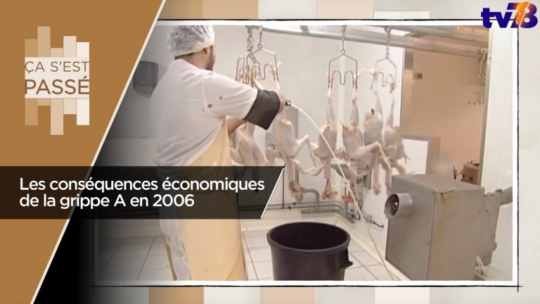 Les rendez-vous de tv78