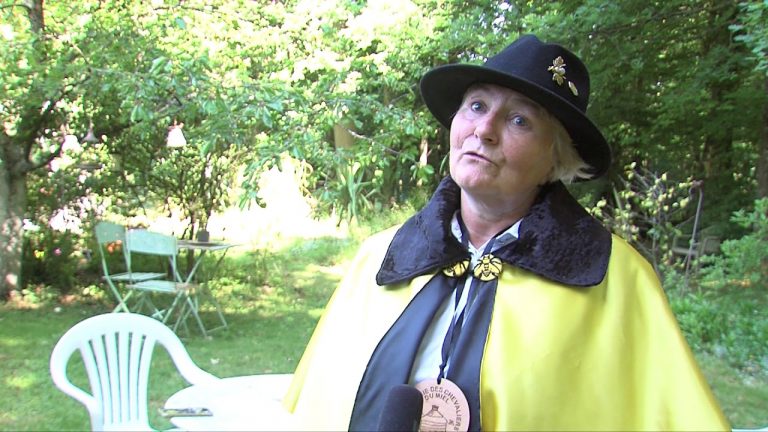 Yvelines | Les abeilles à pied d’oeuvre pendant leur journée mondiale