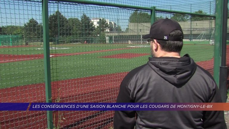 Yvelines | Les conséquences d’une saison blanche pour les cougars de Montigny-le-Bx