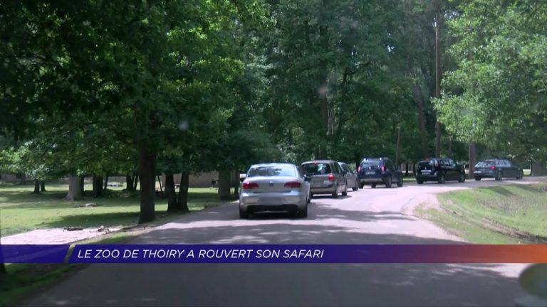 Yvelines | Le parc de Thoiry a rouvert son safari