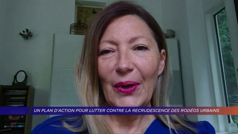 Yvelines | Un plan d’action pour lutter contre la recrudescence des rodéos urbains