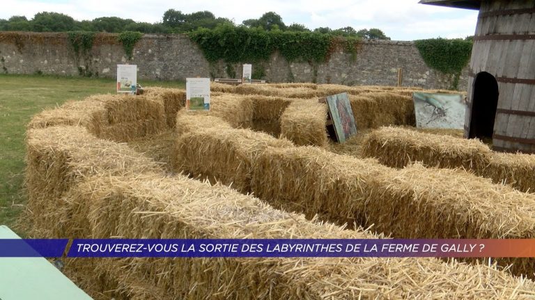 Trouverez-vous la sortie des labyrinthes de la Ferme de Gally ?