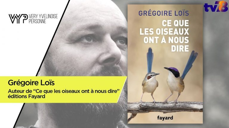 Les rendez-vous de tv78