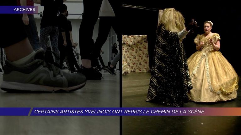 Certains artistes yvelinois ont repris le chemin de la scène