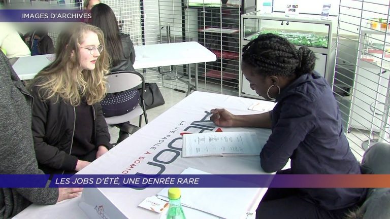 Les jobs d’été, une denrée rare