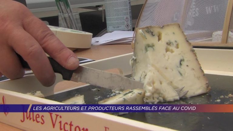 Yvelines | Les agriculteurs et producteurs rassemblés à la Ferme de la Tremblaye, face au covid