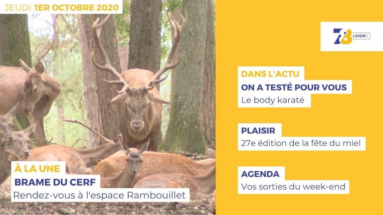 7/8 Loisirs. Emission du 1er octobre 2020