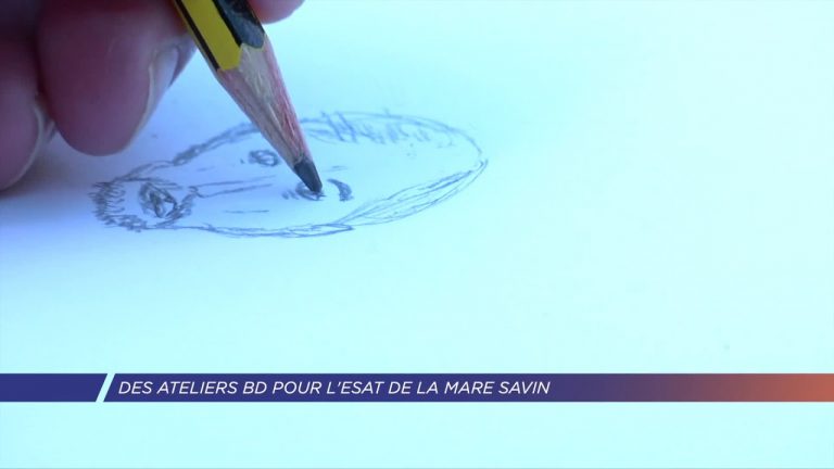 Yvelines | Des ateliers BD pour l’ESAT de la Mare Savin