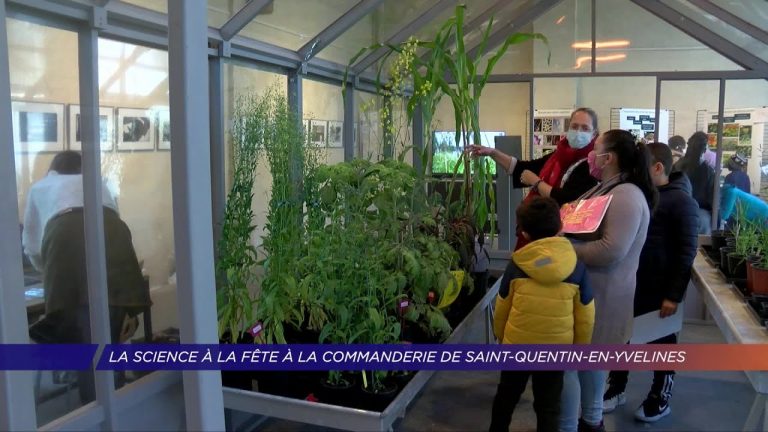 Yvelines | La science à la fête à la Commanderie de Saint-Quentin-en-Yvelines