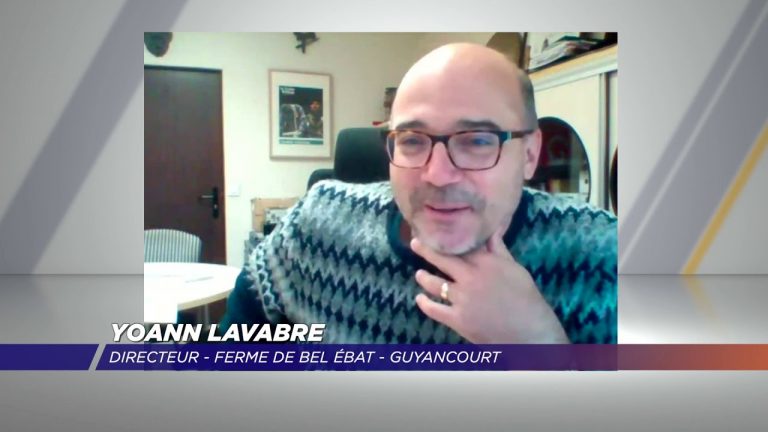 Yvelines | Le monde culturel va tenter de s’adapter