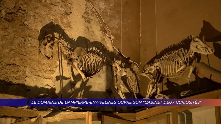 Yvelines | Le domaine de Dampierre ouvre exceptionnellement son cabinet deux curiosités