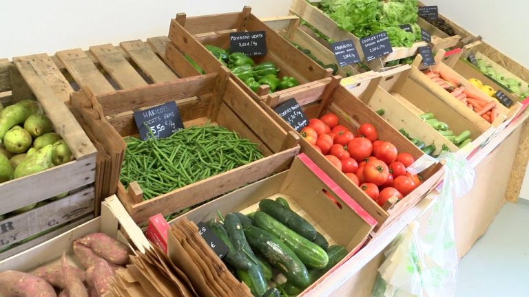 Yvelines | Un magasin de circuit court ouvert à la ferme de Romainville à Magny-les-Hameaux
