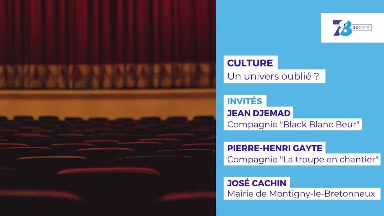 7/8 Société. Culture : un univers oublié ?