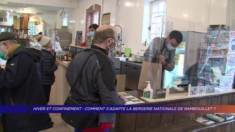 Yvelines | Hiver et confinement : Comment s’adapte la bergerie nationale de Rambouillet ?