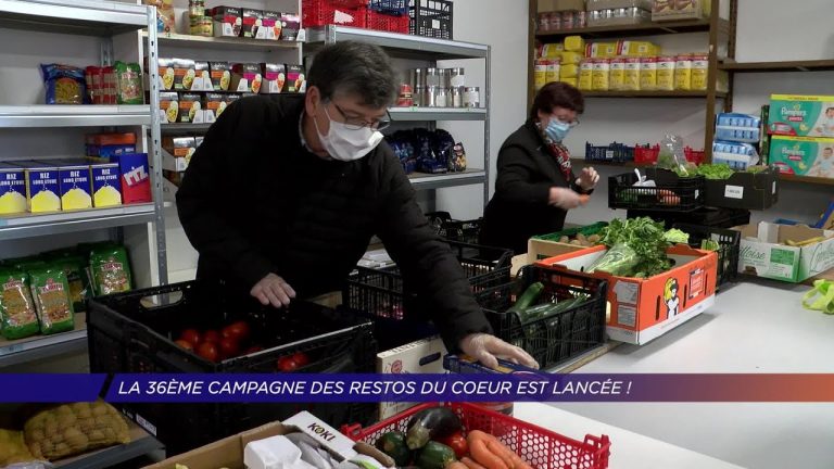 Yvelines | La 36ème campagne des Restos du Coeur est lancée !