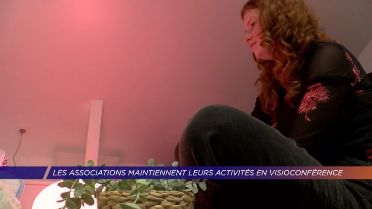 Yvelines | Les associations maintiennent leurs activités en visioconférence