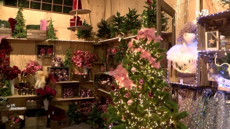 Yvelines | Comment décorer son sapin de Noël ?