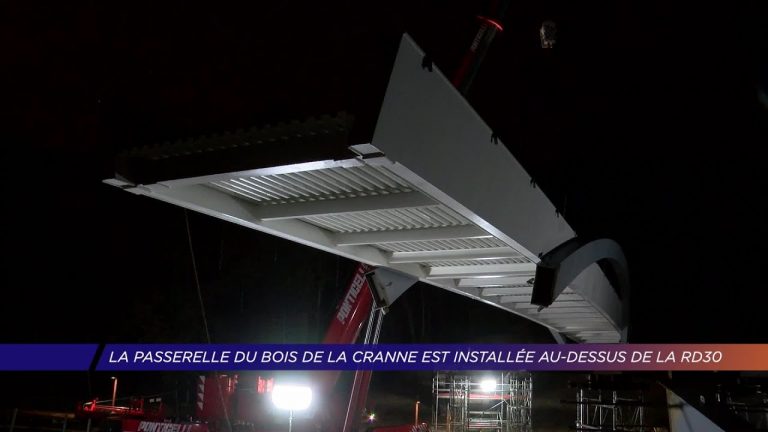 Yvelines | La passerelle du Bois de la Cranne est installée au dessus de la RD30