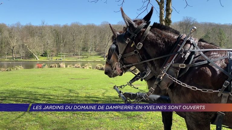 Yvelines | Les jardins du domaine de Dampierre-en-Yvelines sont ouverts