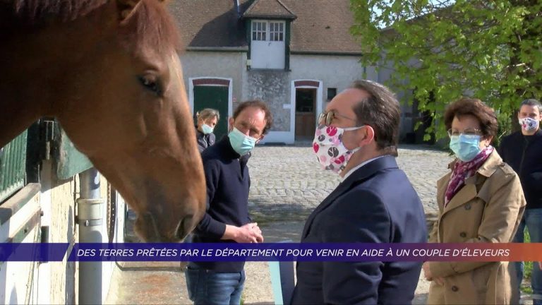 Yvelines | Des terres prêtées par le département pour venir en aide à un couple d’éleveurs.