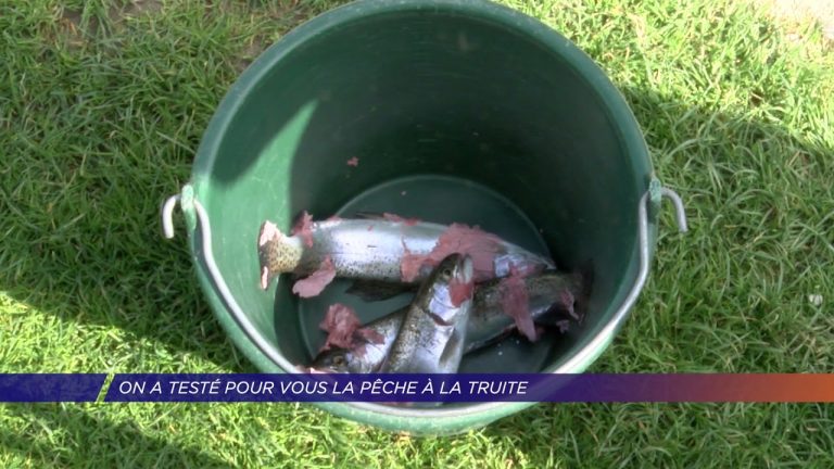 Yvelines | On a testé pour vous la pêche à la truite