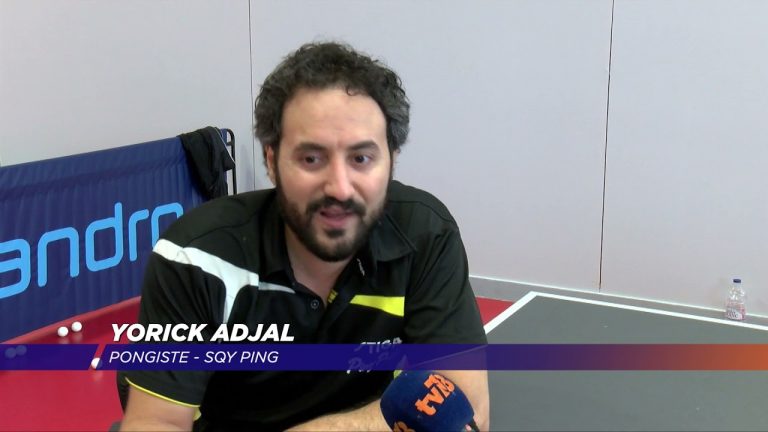 Yvelines | Une section handisport de haut niveau, au club SQY Ping