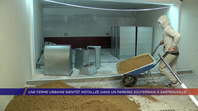 Yvelines | Une ferme urbaine bientôt installée dans un parking souterrain à Sartrouville