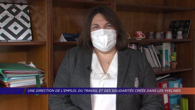 Yvelines | Une direction de l’emploi, du travail et des solidarités créée dans les Yvelines