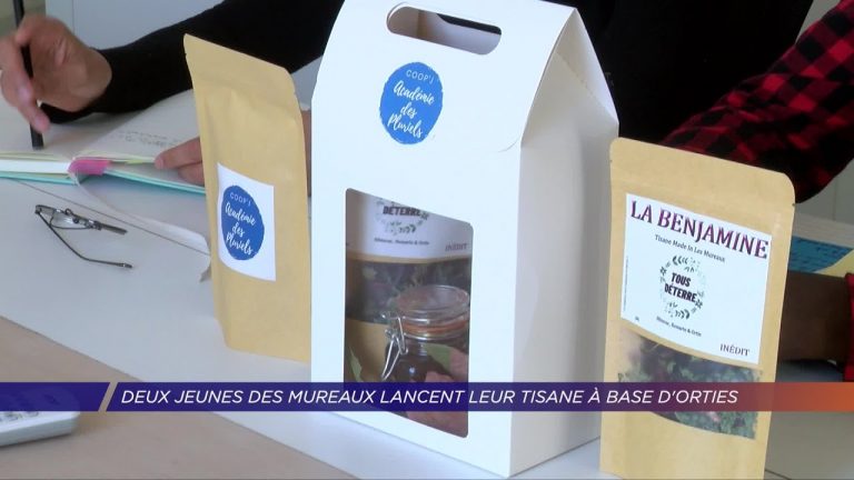 Yvelines | Deux jeunes des Mureaux lancent leur tisane à base d’orties