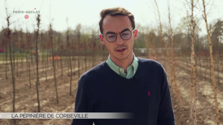 Yvelines | La pépinière de Corbeville