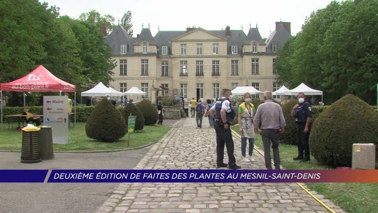 Yvelines | Deuxième édition de Faites des plantes au Mesnil-Saint-Denis