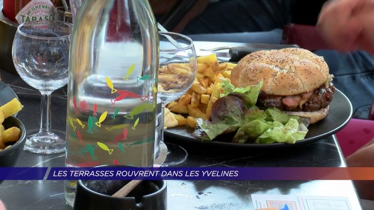 Yvelines | Les terrasses rouvrent dans les Yvelines