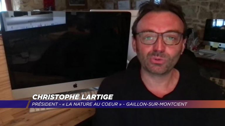 Yvelines | 300 poules sauvées de l’abattoir grâce à l’association « La Nature au coeur »