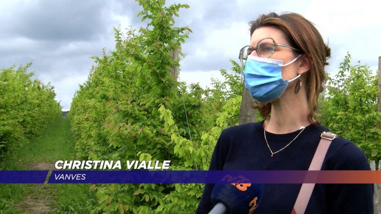 Yvelines | Quatre labyrinthes à la ferme de Gally