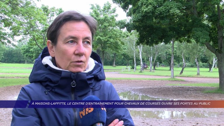 Yvelines | À Maisons-Laffitte, le centre d’entraînement pour chevaux de courses ouvre au public
