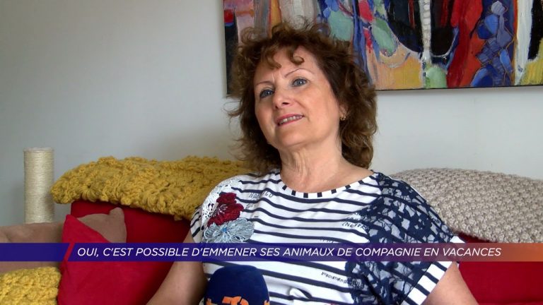 Yvelines | Oui, c’est possible d’emmener ses animaux de compagnie en vacances
