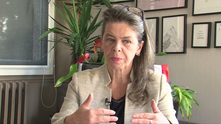 Yvelines | La ville de Chevreuse modifie son éclairage public avec l’aide de France Relance