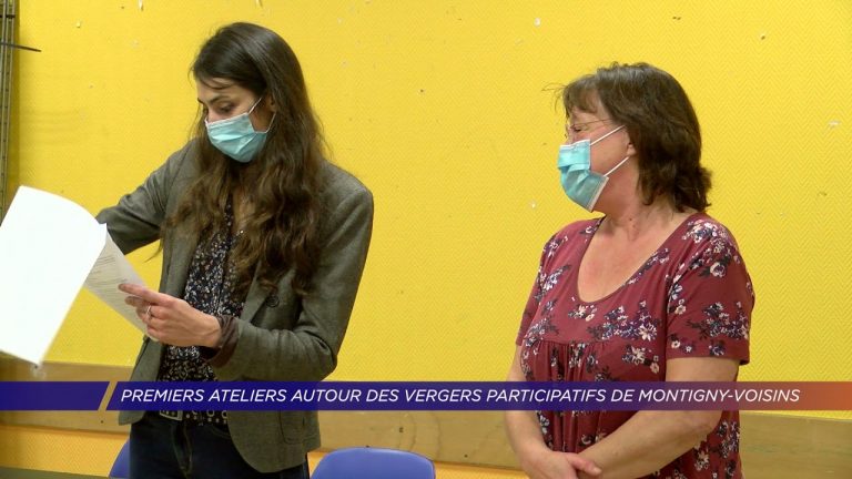 Yvelines | Premiers ateliers autour du verger participatif de Montigny-Voisins