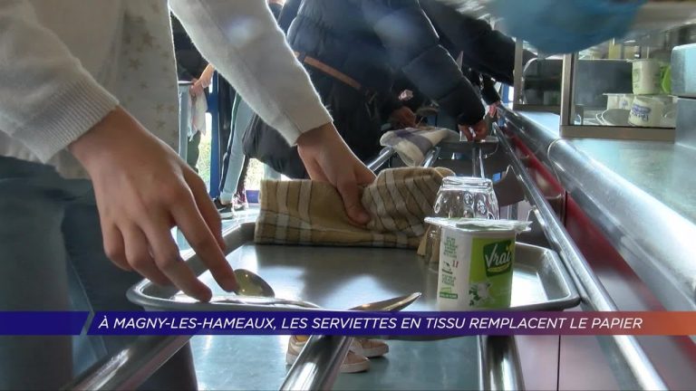 Yvelines | A Magny-les-Hameaux, les serviettes en tissu remplacent le papier